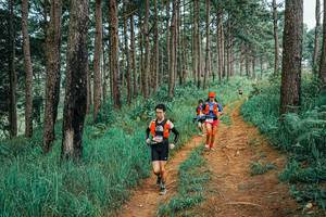 BIB: 
                            <button type="button" onclick="openModal(25663834)" class="btn btn-primary btn-sm float-right btn-popup" data-toggle="modal" data-target=".modal-high-quality">
                        <i class="fas fa-shopping-cart"></i> Add to Cart
                    </button>
                                            <button type="button" onclick="isThisMe(25663834, true)" class="btn btn-success btn-sm float-right btn-popup btn-isme hidden" data-toggle="tooltip" data-placement="bottom" title="นี่คือรูปของคุณใช่ไหม คลิกที่นี่เพื่อเอาเข้าอัลบั้ม">
                        <i class="fas fa-plus"></i> Add to album
                    </button>
                    <button type="button" onclick="isThisMe(25663834, false)" class="btn btn-warning btn-sm float-right btn-popup btn-isnotme hidden">
                        <i class="fas fa-ban"></i> Remove from album
                    </button>